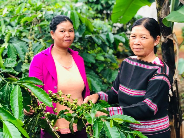 Bà Siu Búi (bìa phải) thường hướng dẫn kỹ thuật sản xuất cho các hội viên trong làng. Ảnh: Thủy Bình