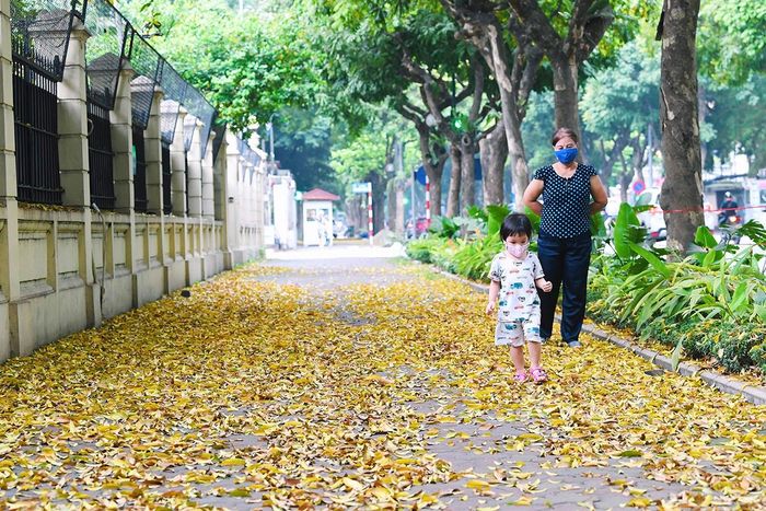 Nhiều gia đình có trẻ nhỏ cũng lựa chọn cho trẻ lên chơi phố sấu những ngày cuối tuần