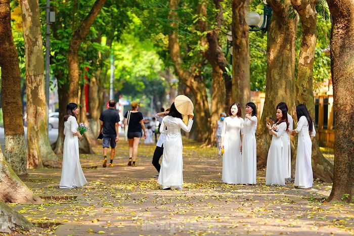 Những thiếu nữ trong tà áo dài nền nã nhẹ bước trên thảm lá vàng khiến con đường, góc phố bất chợt thêm dịu dàng đến lạ