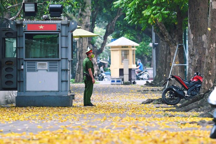 Những cây sấu già, những chiếc lá xoay xoay trong gió, những bước chân trên thảm lá vàng xào xạc… đã trở thành những hình ảnh thân thương và rất đặc trưng của Hà Nội