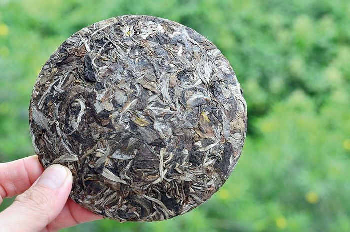 Trà ép bánh với nguyên liệu và kỹ thuật do người H’mông Tà Xùa sản xuất.