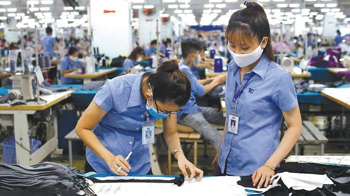 Nhiều doanh nghiệp đã bắt nhịp và tận dụng được lợi ích từ EVFTA kể từ Hiệp định này có hiệu lực