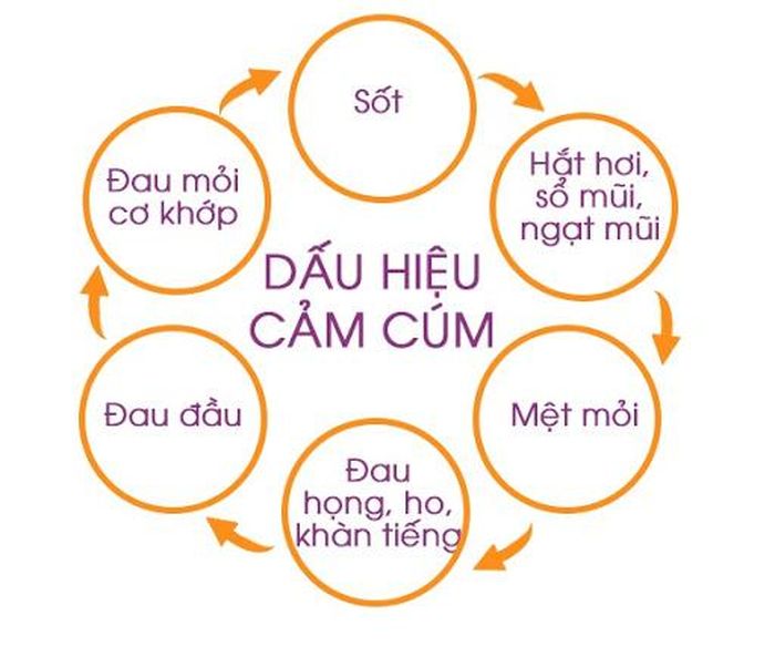 Sơ đồ bệnh cảm cúm - loại bệnh thường gặp mùa Thu Đông.