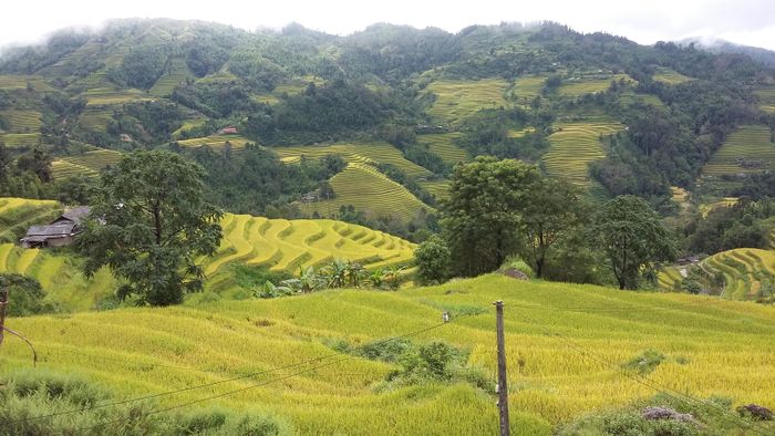 Tả Sử Choóng sở hữu hệ thống ruộng bậc thang đẹp đến nao lòng.
