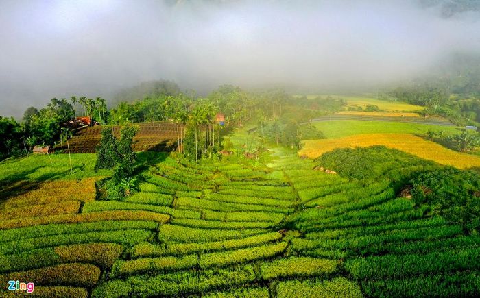 Vùng cao xã Sơn Bua, huyện Sơn Tây, giáp ranh với huyện miền núi Nam Trà My (Quảng Nam). Nơi đây có khí hậu mát mẻ quanh năm. Vào buổi sớm hay lúc xế chiều, tiết trời miền đất này se lạnh hệt như ở Đà Lạt hay Sa Pa.