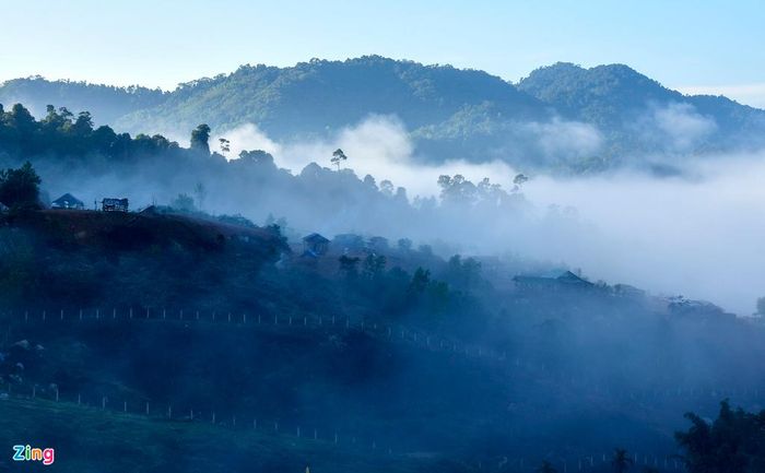 Mây sương mờ ảo trên những khu rừng nguyên sinh.