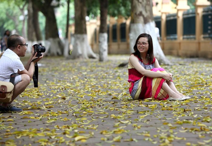 Mùa lá sấu rụng là khoảnh khắc đẹp cho những bức hình của nhiều cô gái.