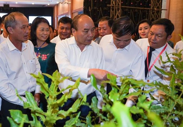 Thủ tướng Nguyễn Xuân Phúc nhấn mạnh tầm quan trọng của cây giống trong phát triển ngành hàng mắc ca. Ảnh: VGP/Quang Hiếu