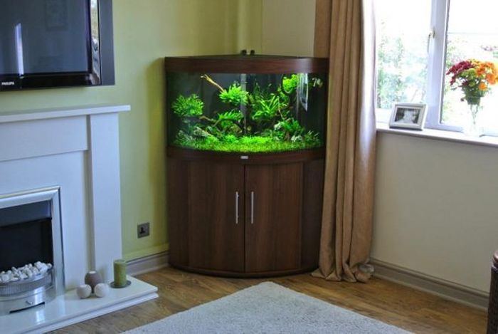 Bể cá kết hợp chỗ để đồ làm góc phòng khách trở nên sinh động hơn nhiều.
