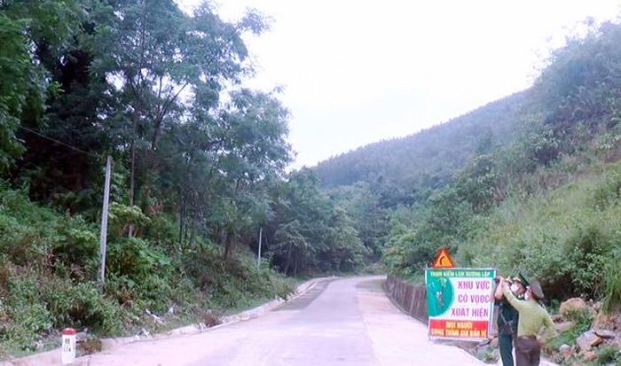 Lực lượng Kiểm lâm và Biên phòng kiểm tra tình hình và cảnh báo đến người dân tại khu vực có voọc đen gáy trắng hay xuất hiện.