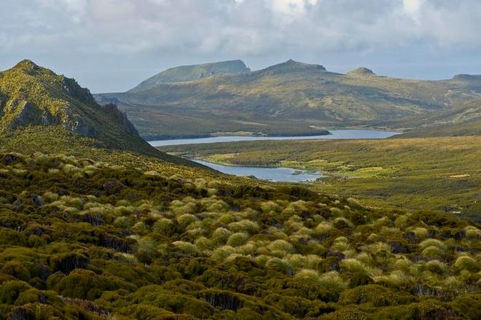 Cách phía nam Bluff khoảng 700 km, đảo Campbell là một trong những vùng đất khắc nghiệt nhất thế giới với gió mạnh quanh năm, chưa đến 600 giờ có ánh nắng mặt trời và mưa đến 320 ngày/năm. Ảnh: Alasobcura.