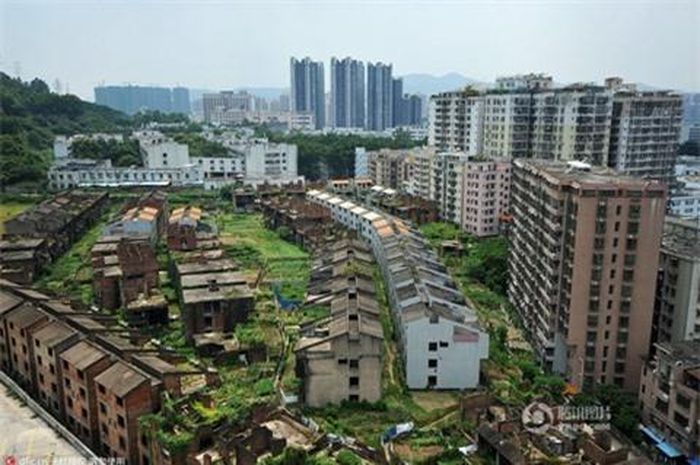 Khu biệt thự bỏ hoang nhiều năm qua