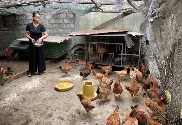 Từ nguồn vốn vay, chị Nguyễn Thị Hạnh đã đầu tư phát triển kinh tế