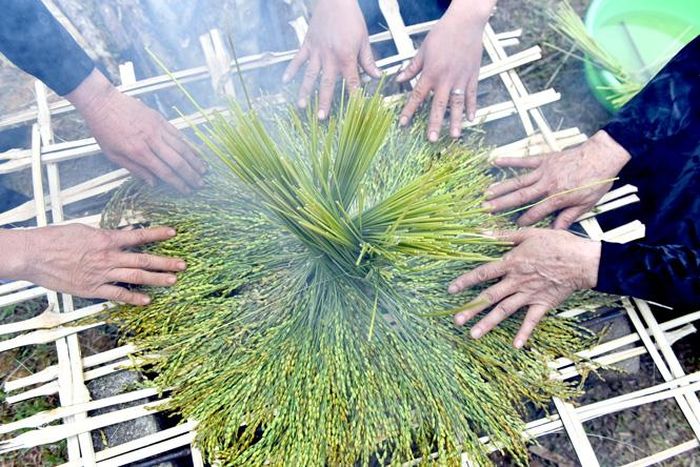 Các cum lúa được nướng trên bếp than hồng hoặc rang trong chảo.