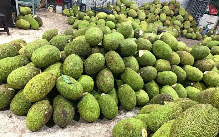 Giá mít Thái tăng kỷ lục