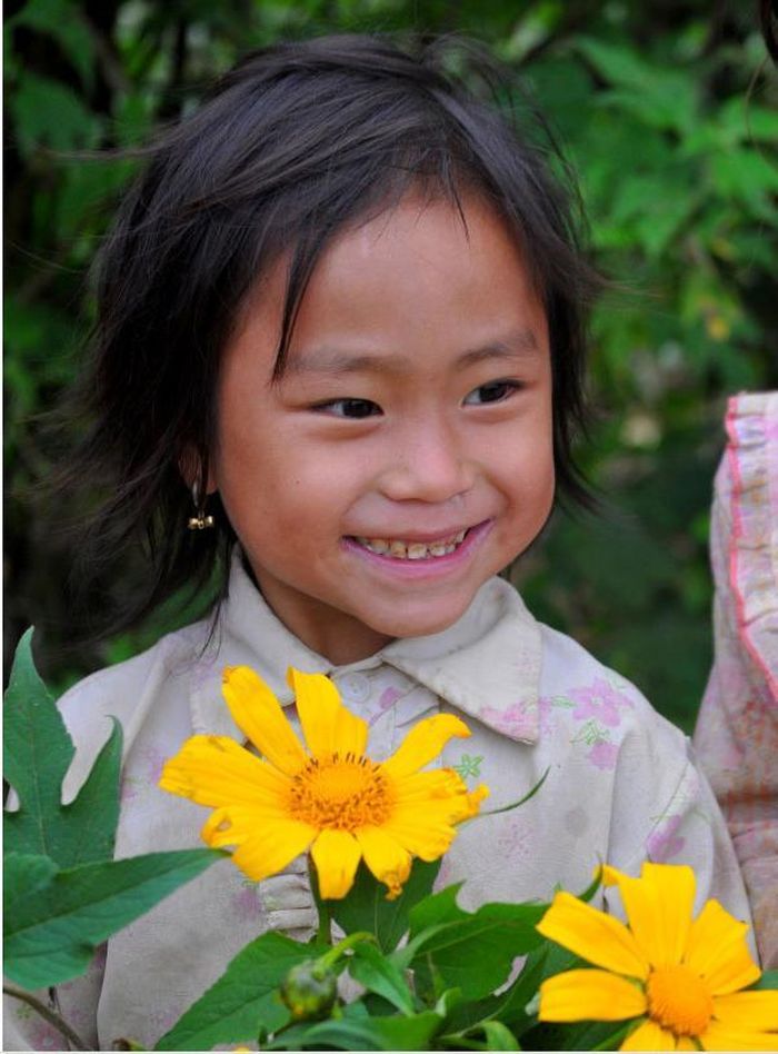 Dã quỳ có vẻ đẹp hoang dại, màu vàng rực rỡ nổi bật giữa đất trời thiên nhiên, đây chính là một "đặc sản", một biểu tượng của Mộc Châu trong lòng du khách.