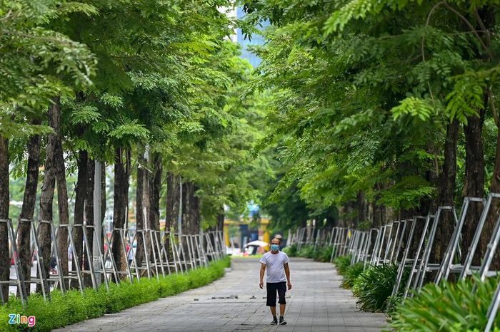  Trong số 1.500 cây xanh được trồng mới có khoảng 1.000 cây giáng hương, 18 cây bàng Đài Loan, 12 cây ban hoàng hậu, gần 2.000 m2 cây bụi và 4.500 m2 cây hồng lộc... Vỉa hè của tuyến đường rộng từ 3 đến hơn 7 m được lát đá xanh. 