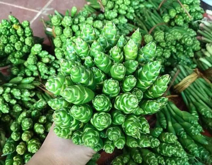 Vài năm gần đây, hoa gừng - loại hoa đặc sản miền núi xuất hiện nhiều hơn ở Hà Nội. Thời điểm này đang rộ mùa nên hoa gùng bán tràn ngập “chợ mạng”, giá dao động từ 40.000-60.000 đồng/kg. Ảnh: Vietnamnet.