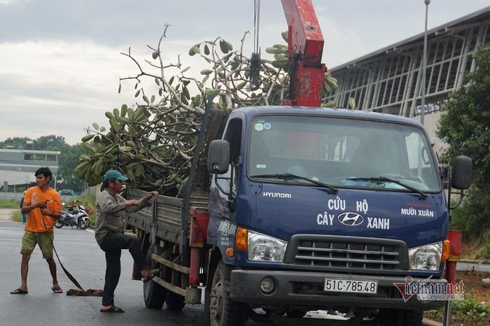 Công nhân đang thực hiện các hạng mục tạo cảnh quan bên trong khuôn viên bến xe 