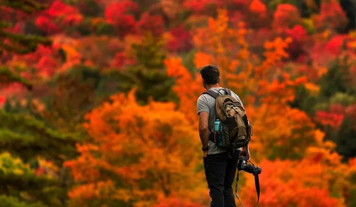 Nhiếp ảnh gia đắm chìm trước những tán lá thu trên sườn phía Đông của Núi Lower Wolfjaw ở Adirondacks.
