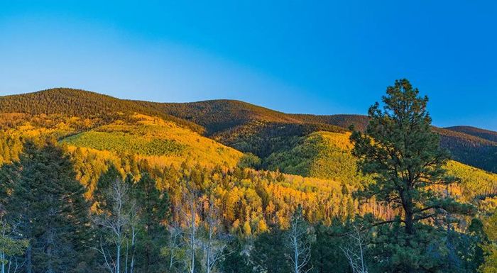 Đèo Boreas ở Colorado, Mỹ.