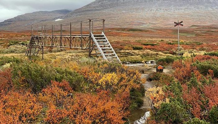 Sắc thu trên hàng cây ở Dãy núi Scandinavian ở vùng Jamtland Harjedalen của Thụy Điển.