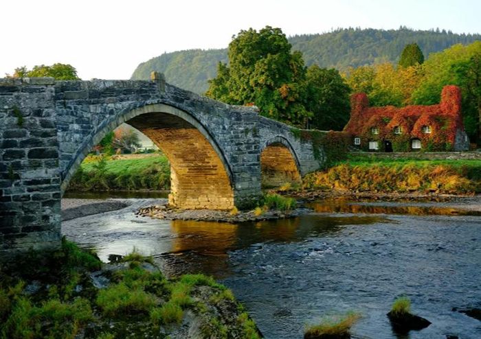 Cây leo Virginia bên ngoài phòng trà Tu Hwnt I’r Bont bắt đầu chuyển sang màu đỏ khi mùa thu đến ở Llanrwst, Anh.