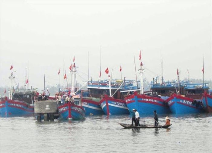 Tàu cá tránh bão tại cảng cá Tam Quang