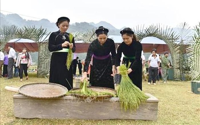 Phụ nữ Tày xã Côn Lôn (Na Hang) chuẩn bị làm cốm.