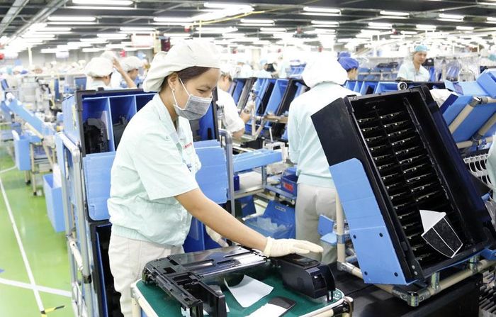 Nhiều doanh nghiệp tìm cách chuyển đổi số để đưa sản phẩm và dịch vụ mới ra thị trường