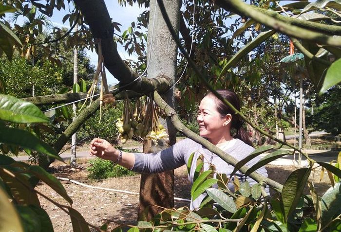 Sản xuất nông nghiệp tại Lâm Đồng.