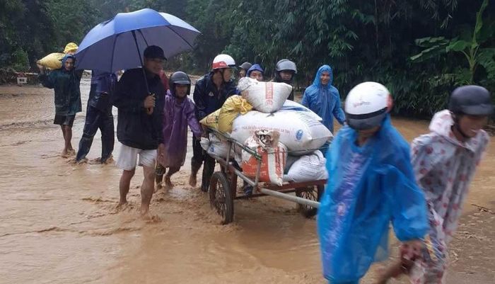 Hình ảnh cứu lúa trong những ngày lũ lịch sử tại Quảng Trị.