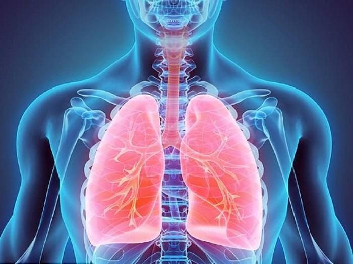 Viêm phổi. Viêm phổi do nhiễm trùng phổi gây ra, khiến các tổ chức tại phổi bị viêm và ảnh hưởng tới chức năng hoạt động. Trẻ bị viêm phổi có dấu hiệu thở nhanh, sốt cao và ớn lạnh, ho khan, đau ở ngực – đặc biệt là khi thở. Bệnh do virus, vi khuẩn hoặc biến chứng từ cúm, cảm lạnh, viêm họng.