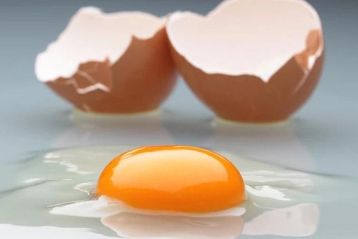 Tuy chó là loài vật có bản năng hoang dã, nhưng thịt hay trứng sống cũng không phải là thực phẩm nên cho chó ăn