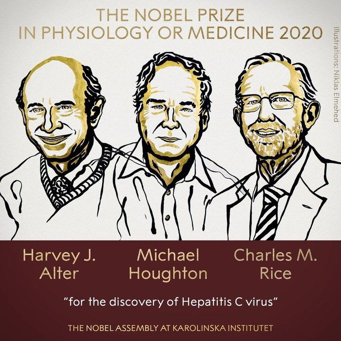 Ba nhà khoa học đoạt giải Nobel Y học 2020.