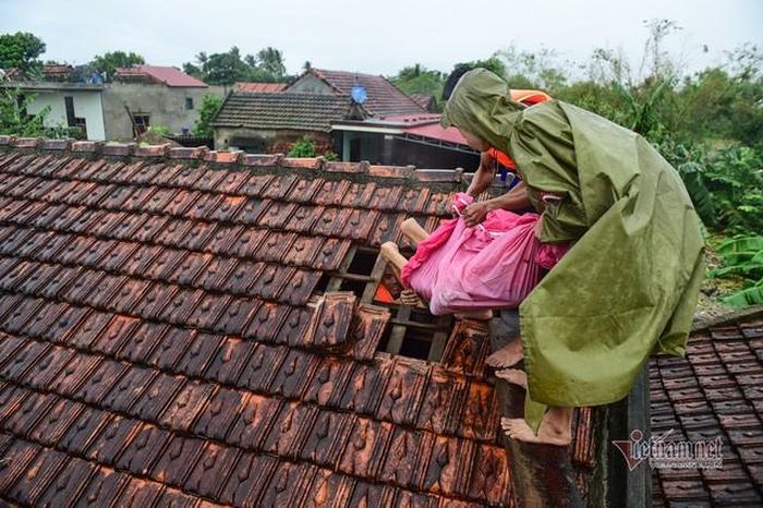 Anh Võ Quang Nông gỡ mái nhà, chờ thuyền cứu hộ tới chuyển bố mình đến bệnh viện cấp cứu. Phải mất gần 30 phút anh Nông mới tìm cách đưa được bố ra khỏi mái nhà. Nhà anh đã ngập từ nhiều ngày nay, đồ đạc hư hỏng hết. Gia đình 4 người phải co cụm trên gác chờ lực lượng cứu hộ đến giải cứu