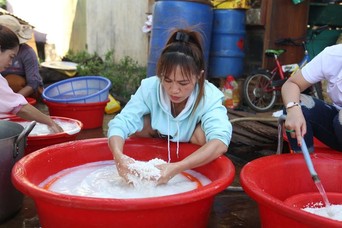 Vo nếp