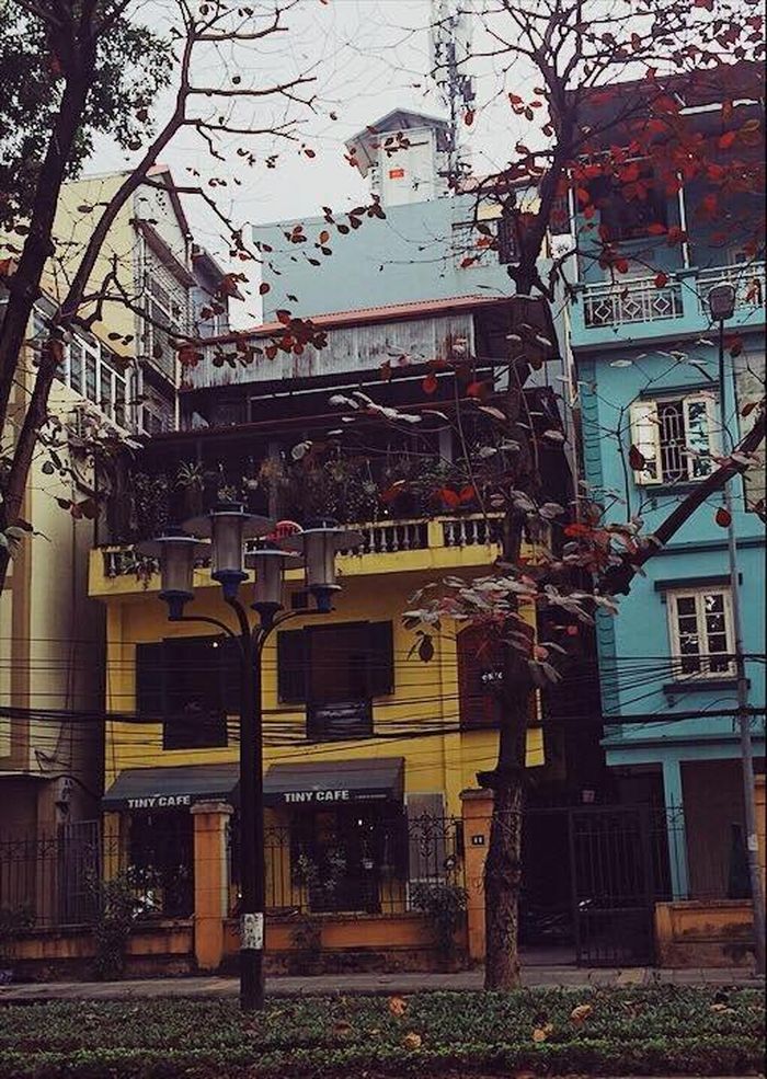  Tiny Cafe 11 Nguyễn Tri Phương bình yên trong một chiều thu