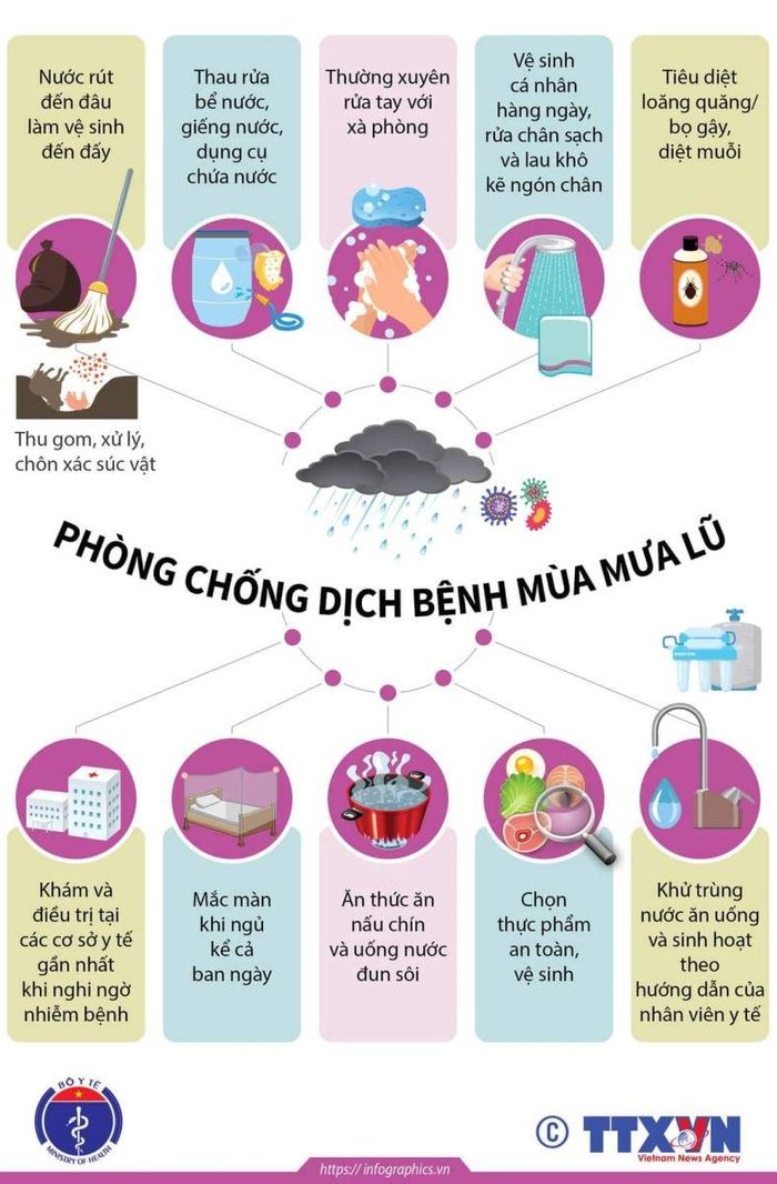 Bộ Y tế khuyến cáo phòng chống dịch bệnh mùa mưa bão. Ảnh: TTXVN
