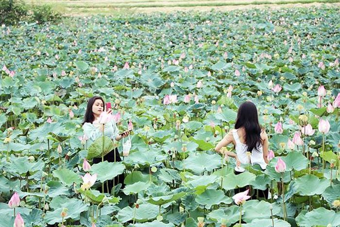 Xã Phú Điền (H.Tân Phú) có nhiều điểm đến hấp dẫn có thể khai thác làm du lịch. Ảnh: B.Nguyên