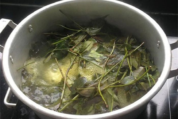Đối với trường hợp bệnh nhẹ, người bệnh có thể áp dụng cách chữa tại nhà bằng mẹo dân gian như tắm lá khế, lá kinh giới, tía tô… để giảm bớt triệu chứng