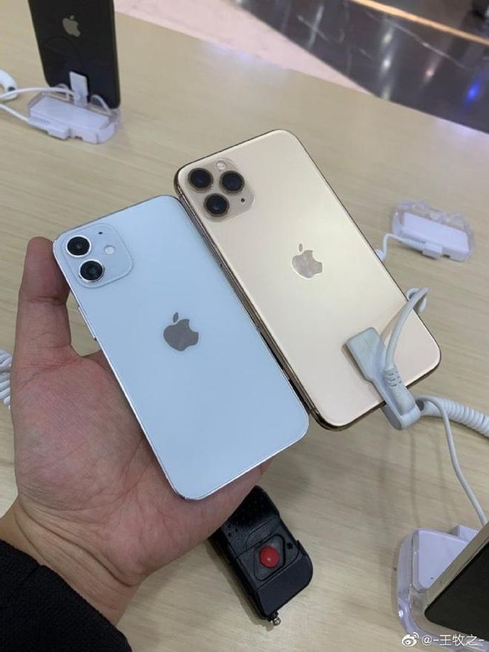 Ảnh mô hình iPhone 12 mini cho thấy kích thước nhỏ gọn của sản phẩm. Ảnh: Wang Muzhi/Weibo.