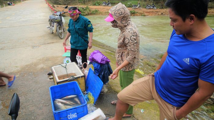 Sau khi đánh bắt xong, người dân đưa ra khu vực đường để bán. Bình quân có người thu được từ 300-1 triệu đồng/ngày.