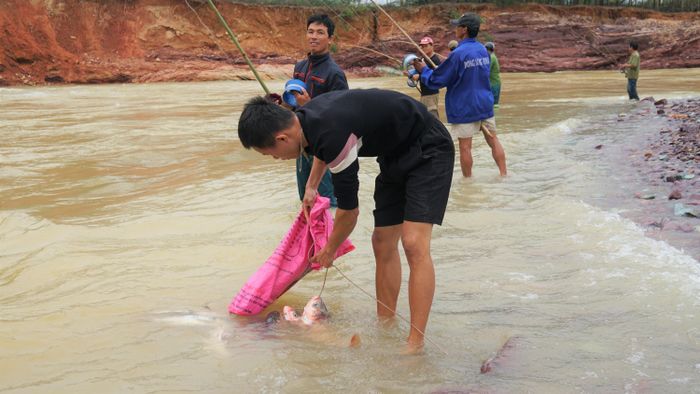 Cá ở khu vực hồ chảy xuống chủ yếu là cá mè, cá chép, cá trắm. Có những con to nặng hơn 7kg.
