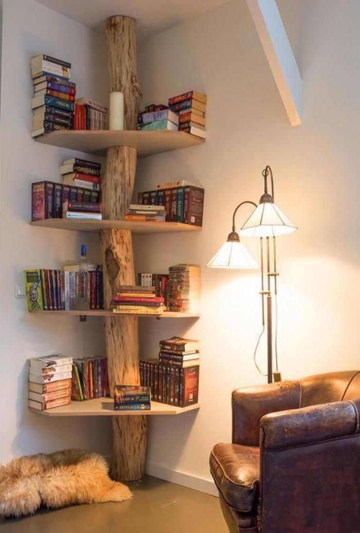 Kệ sách trên cây (Ảnh: Pinterest)