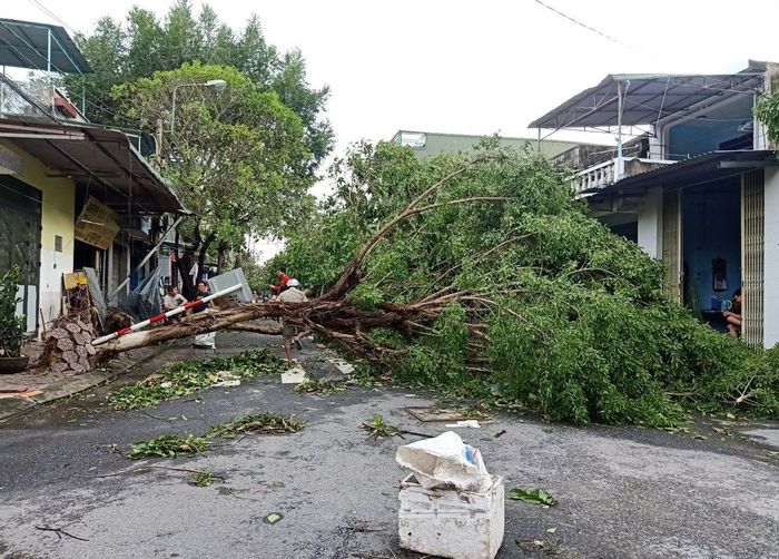 Cây xanh ngã đổ khiến phương tiện giao thông không đi lại được qua tuyến đường Nguyễn Xuân Hòa.