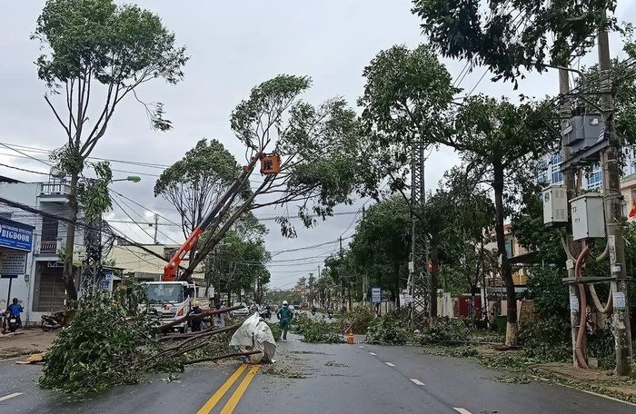 Cơ quan chức năng khẩn trương khắc phục và giải phóng cây xanh ngã đổ trên các tuyến đường ở TP. Quảng Ngãi.
