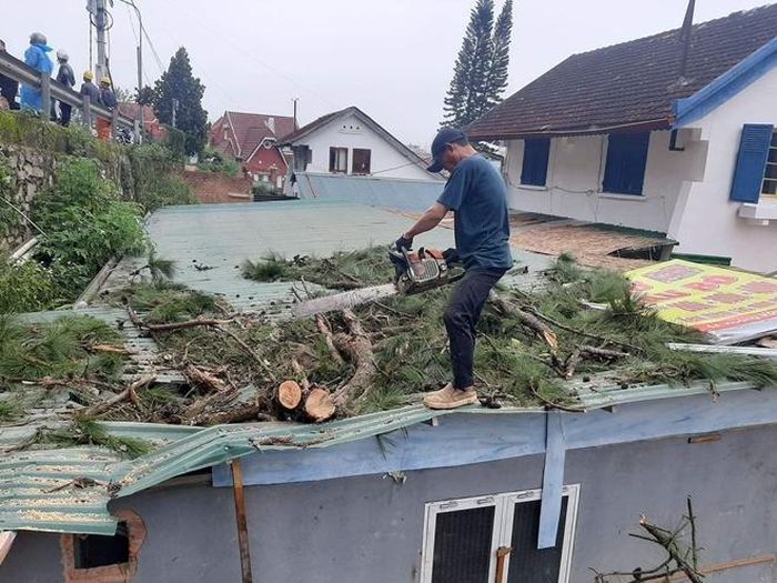 Một cây thông đổ vào nhà dân
