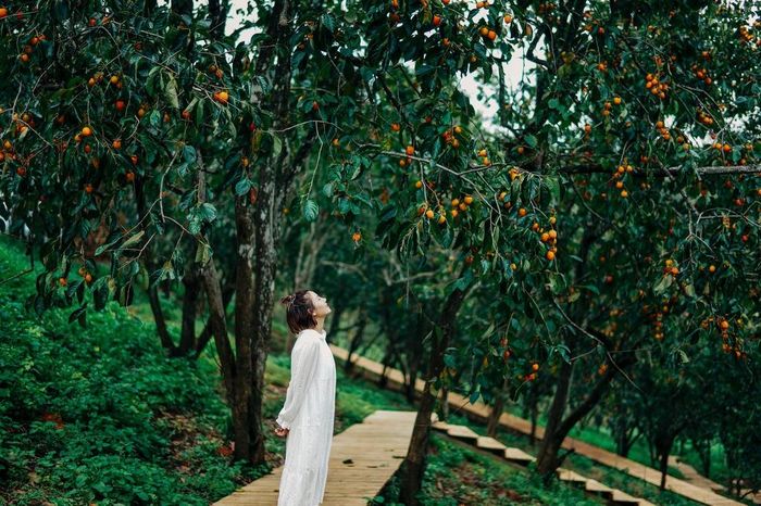 Công trình gỗ cao gần 5 m, rộng 3,5 m được nhóm bạn trẻ thực hiện trong vòng một tháng. "Chúng tôi phải dành thời gian thu gom vật liệu, học hỏi kỹ thuật để bức tượng tạo ra thẩm mĩ, chắc chắn nhất", Hương Thi chia sẻ. Ảnh: NVCC.