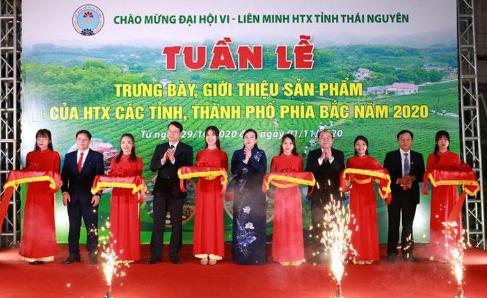 Các đại biểu cắt băng khai trương tuần lễ trưng bày, giới thiệu sản phẩm của HTX các tỉnh, thành phố phía Bắc năm 2020.